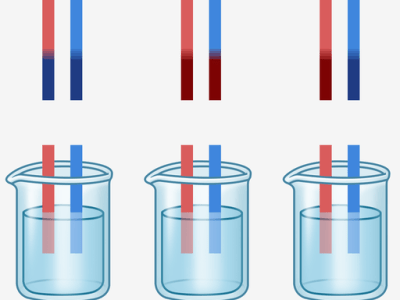 A Gospel Litmus Test for Churches and&nbsp;Christians