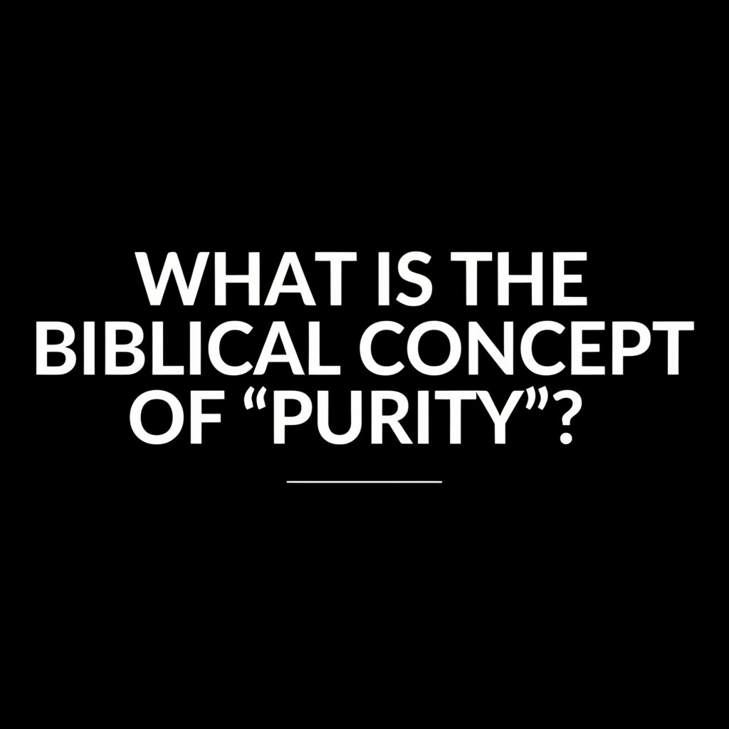 A Few Brief Thoughts on the Biblical Concept of “Purity”